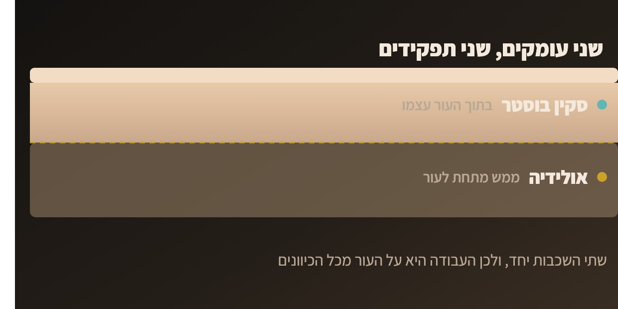 תרשים חתך עור: אולידיה מתחת לעור, סקין בוסטר בתוך העור